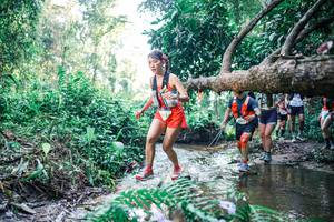 BIB: 
                            <button type="button" onclick="openModal(25443968)" class="btn btn-primary btn-sm float-right btn-popup" data-toggle="modal" data-target=".modal-high-quality">
                        <i class="fas fa-shopping-cart"></i> Add to Cart
                    </button>
                                            <button type="button" onclick="isThisMe(25443968, true)" class="btn btn-success btn-sm float-right btn-popup btn-isme hidden" data-toggle="tooltip" data-placement="bottom" title="นี่คือรูปของคุณใช่ไหม คลิกที่นี่เพื่อเอาเข้าอัลบั้ม">
                        <i class="fas fa-plus"></i> Add to album
                    </button>
                    <button type="button" onclick="isThisMe(25443968, false)" class="btn btn-warning btn-sm float-right btn-popup btn-isnotme hidden">
                        <i class="fas fa-ban"></i> Remove from album
                    </button>